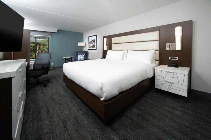 King Room with Adapted Tub - Mobility and Hearing Accessible image 4