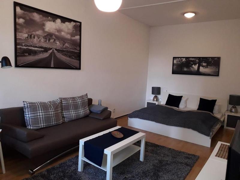 Classic Apartment image 4