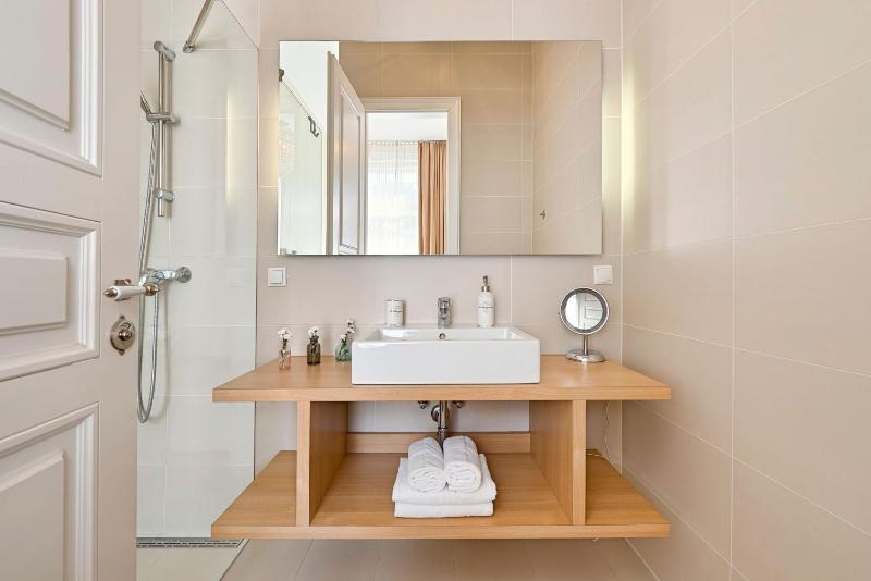 Large One-Bedroom Apartment image 2