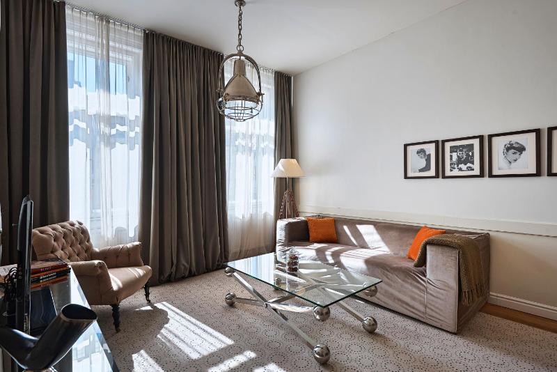 Large One-Bedroom Apartment image 4