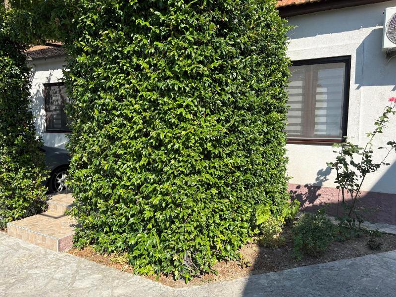 El Sol Apartmani - image 7