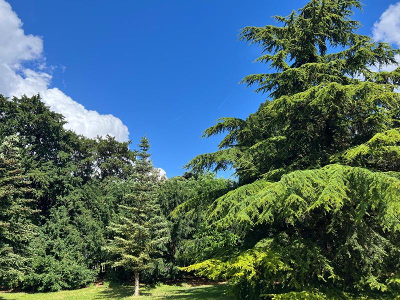 Penthouse Apartment image 2