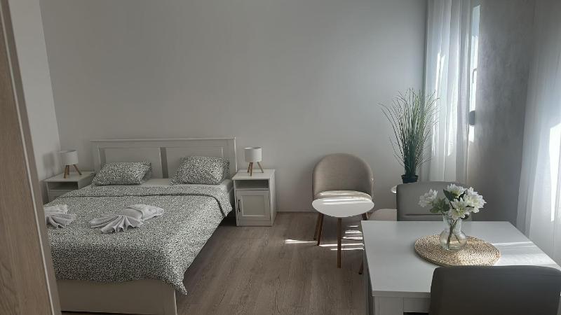 Apt 3- Sokobanjica apartmani - image 5