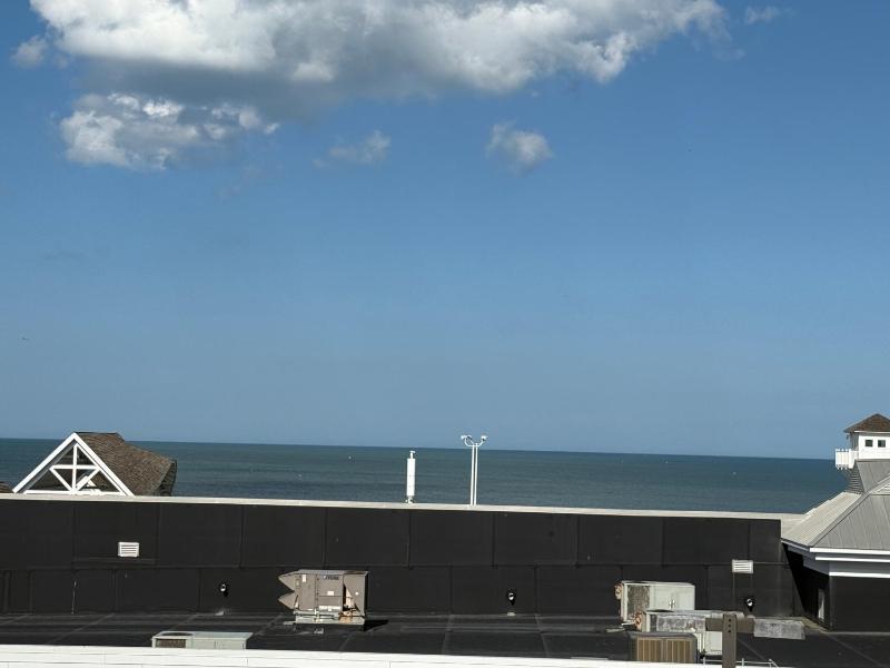 Blue Marlin Motel - image 15