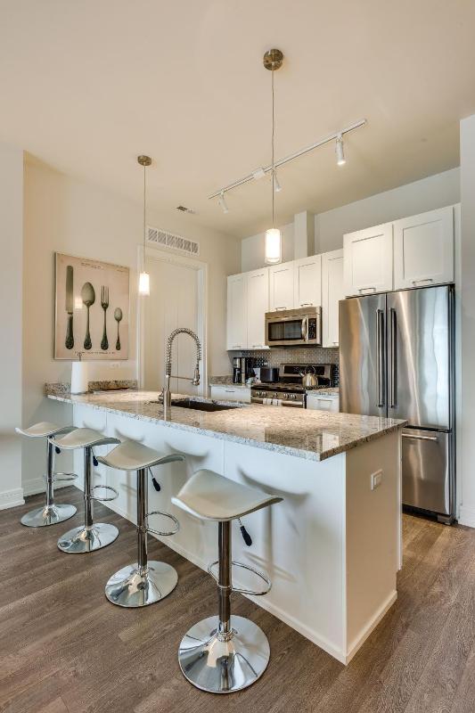 Designer 3BR with Balcony & Elevator on Clark! apts - image 10
