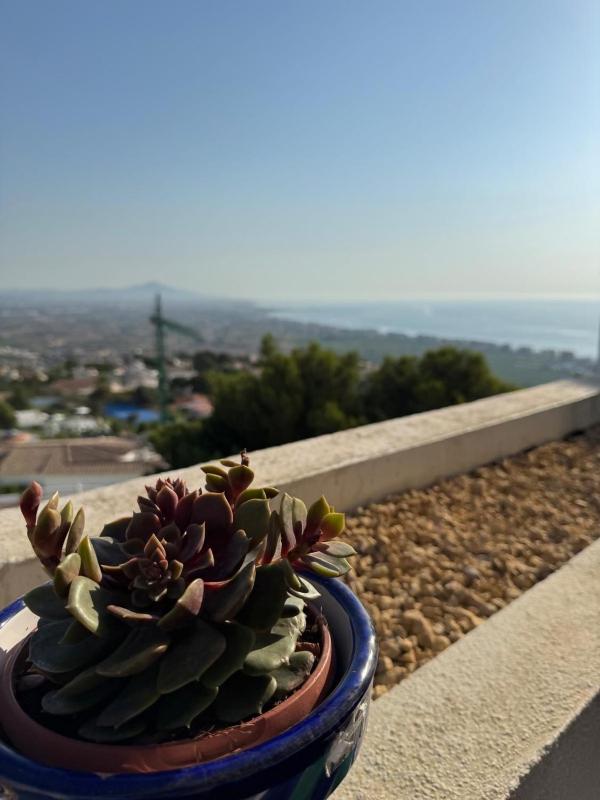 Perla Blanca - Apartamento en la cima de Peñiscola - image 10