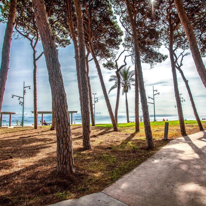 APARTBEACH GOLDEN I MUY LUMINOSO JUNTO PLAYA y CLIMATIZADO - image 26