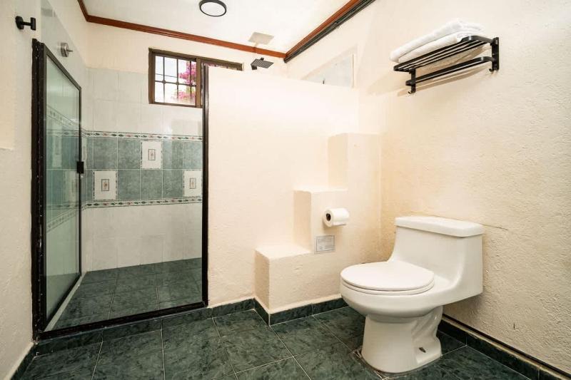 Private Entry Suite with Patio and ample bathroom - image 6