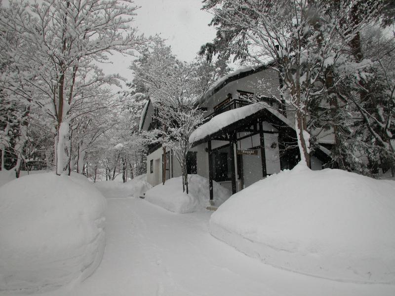 B&B Koyuki Hakuba - image 22