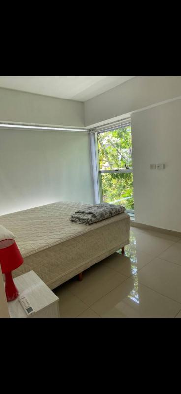 A beautiful apartment full of natural light - image 15
