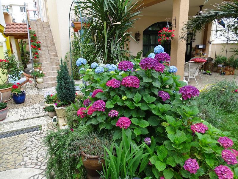 Apartment with Terrace image 4