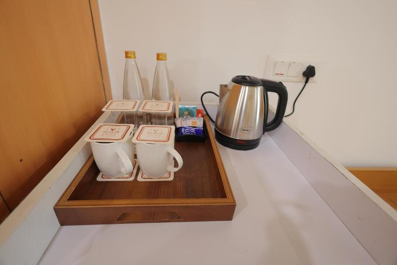 Aliste millennium City centre Fortis Gurugram - image 5