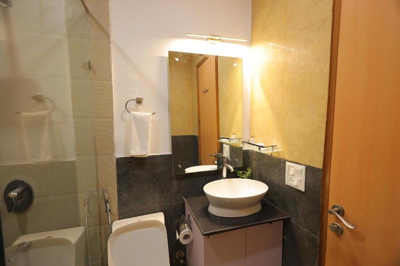 Aliste millennium City centre Fortis Gurugram - image 8