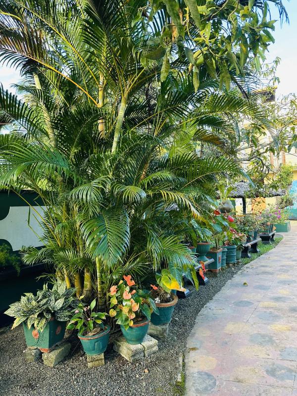 EL-Dorado Family Stay - image 8