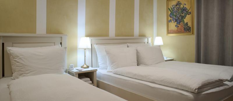 Standard Twin Room image 2