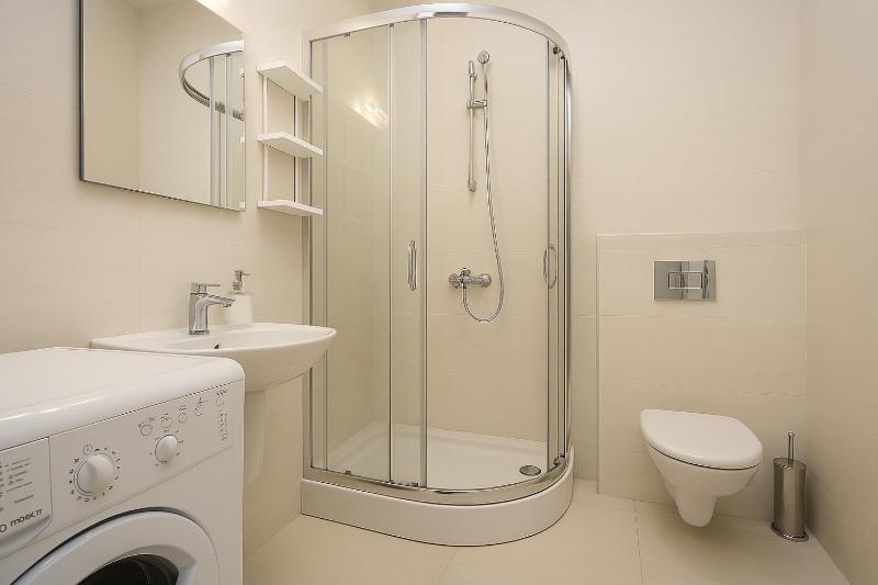 One-Bedroom Apartment image 3