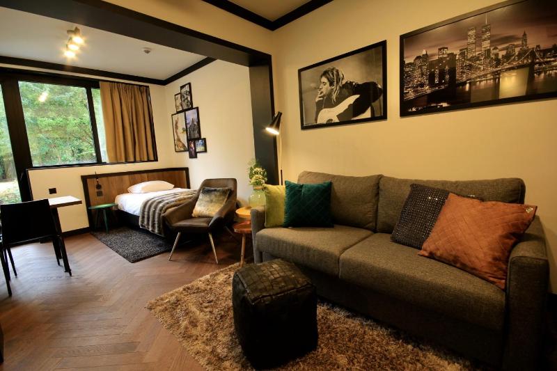 Deluxe Studio with Terrace image 2