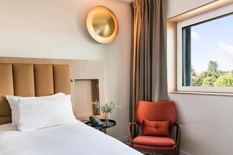 Deluxe King Room image 1