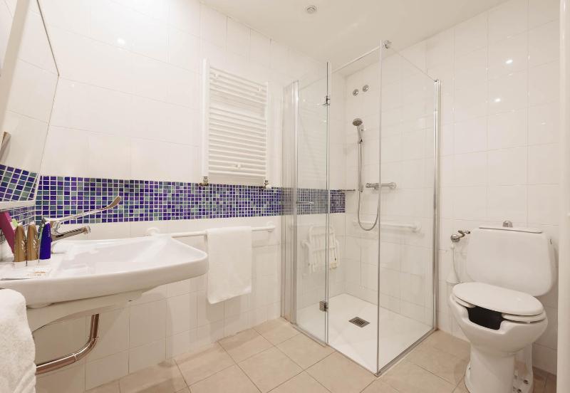 Single Room - Disability Access image 3