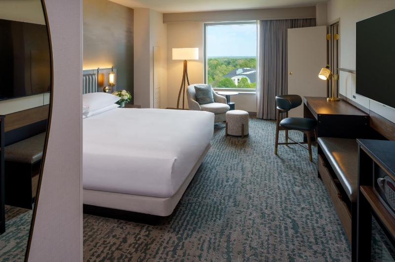 Suite image 4