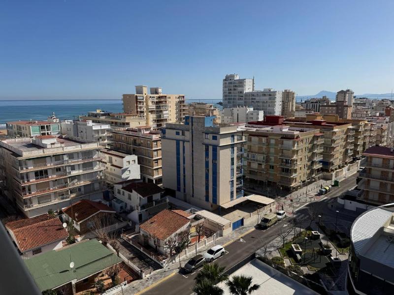 AG El Alamo - image 49