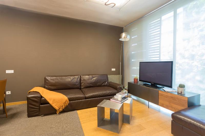 Apartment Barcelona Rentals - Pool Terrace in City Center - image 11
