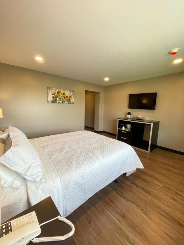Deluxe Double Room image 2