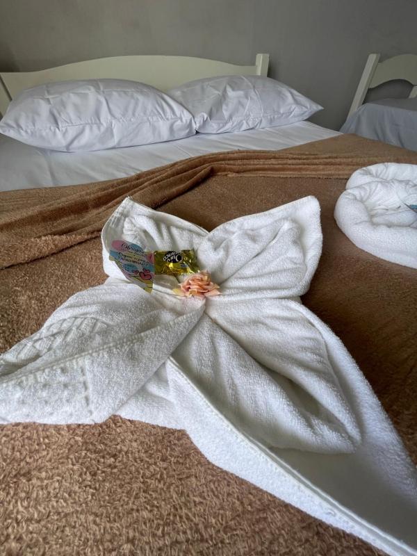Bela Vista Praia Hotel - image 43