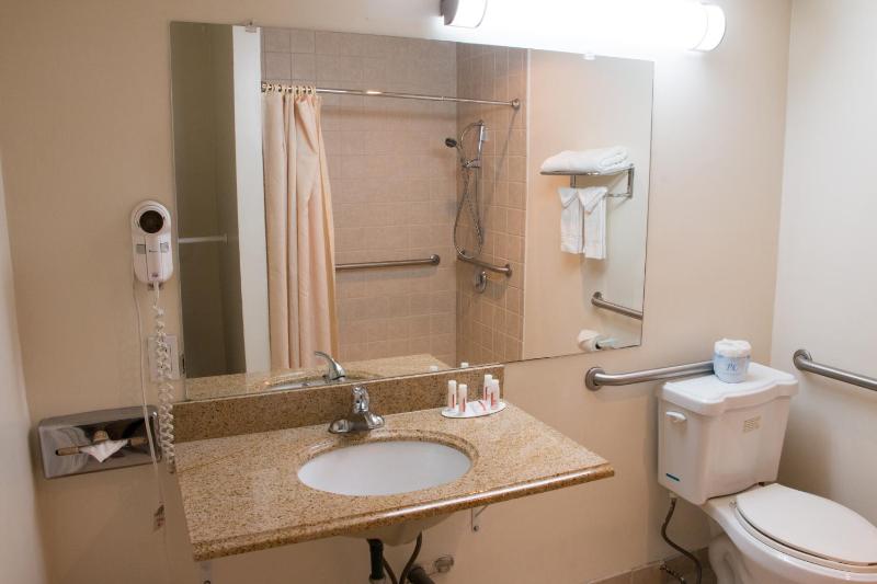 King Room with Roll-In Shower - Mobility/Hearing Accessible - Non-Smoking image 2
