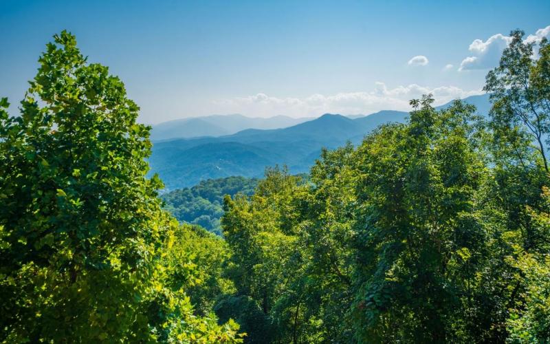 Smoky Mountain Skies - image 49