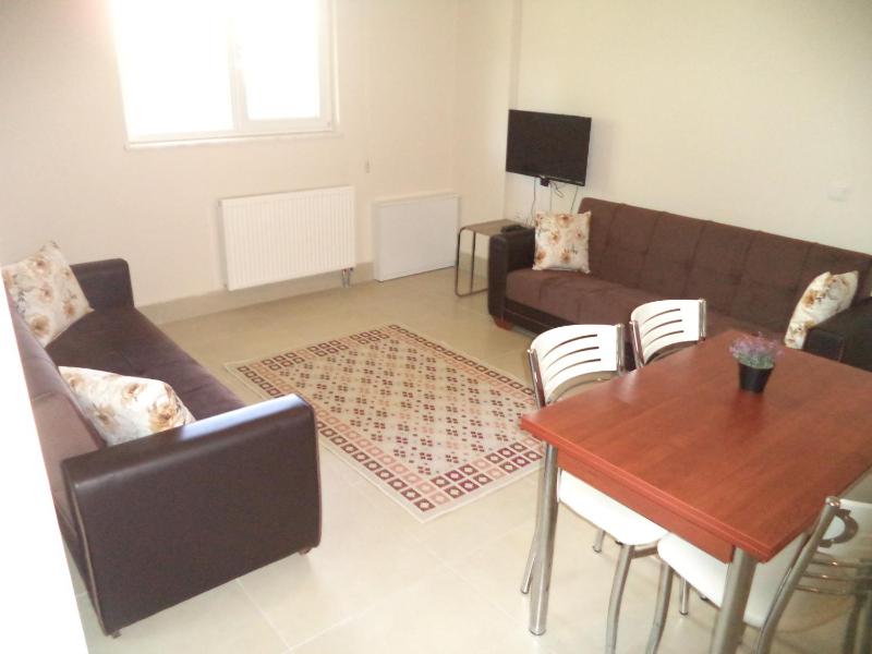 Standard Family Room image 4