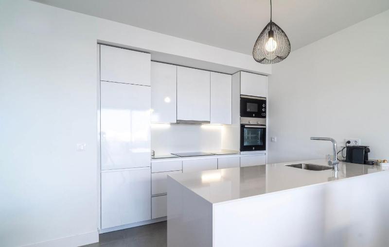Live the High Life in a Designer Penthouse at Pure South - image 6