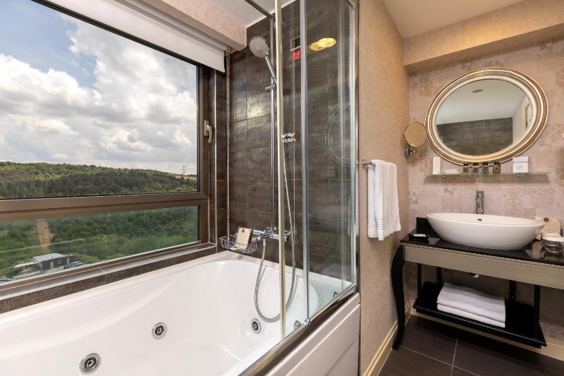 Luxury Suite image 4