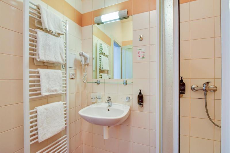 Deluxe Double or Twin Room image 3