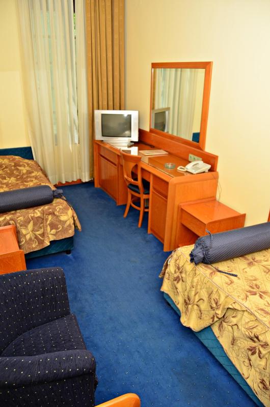 Twin Room image 2