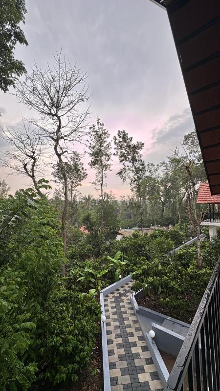 Greenhouse Homestay - image 13