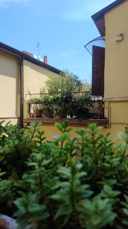 Deluxe Studio image 2