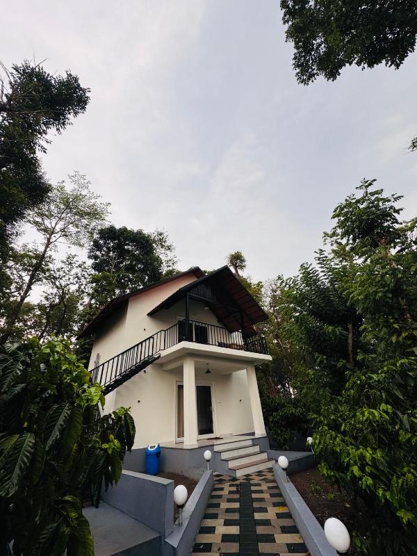 Greenhouse Homestay - image 14