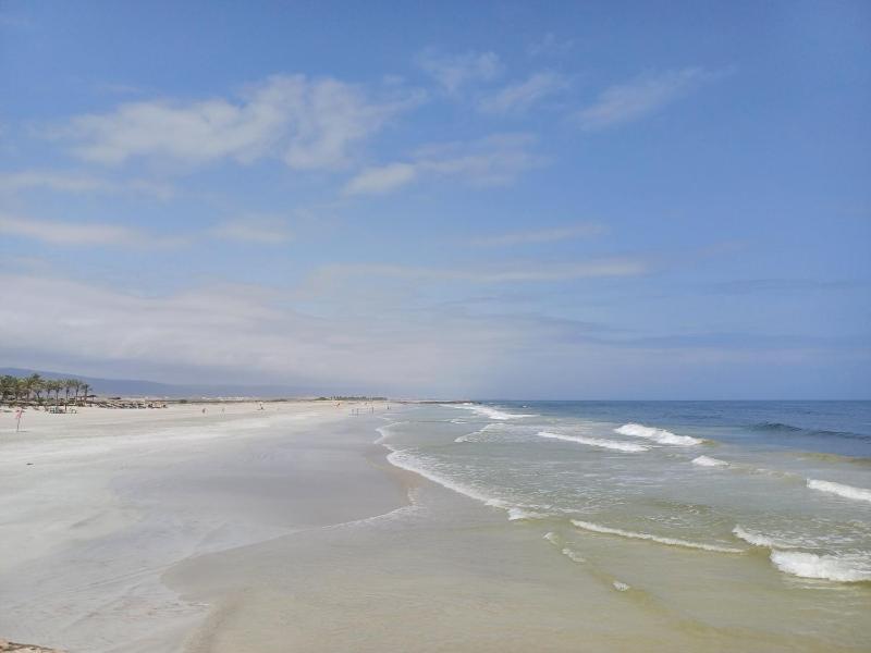 Dream Apartment - Near Beach with Pool View & WiFi - image 23