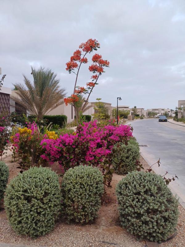 Dream Apartment - Near Beach with Pool View & WiFi - image 13