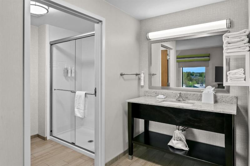 King Studio Suite with Sofa Bed - Hearing Access/Non-Smoking image 2