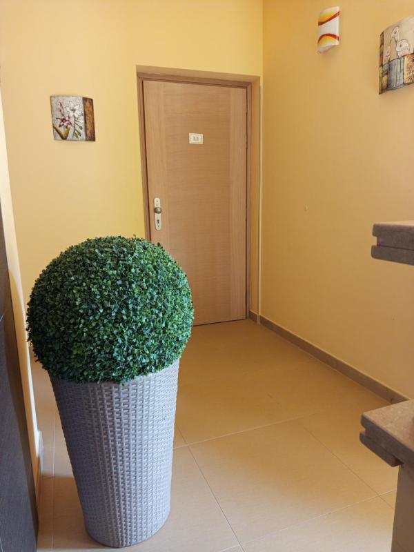 Amaryllis Hotel - image 30