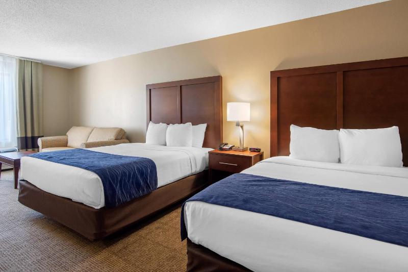 Queen Suite with Two Queen Beds and Sofa Bed image 4