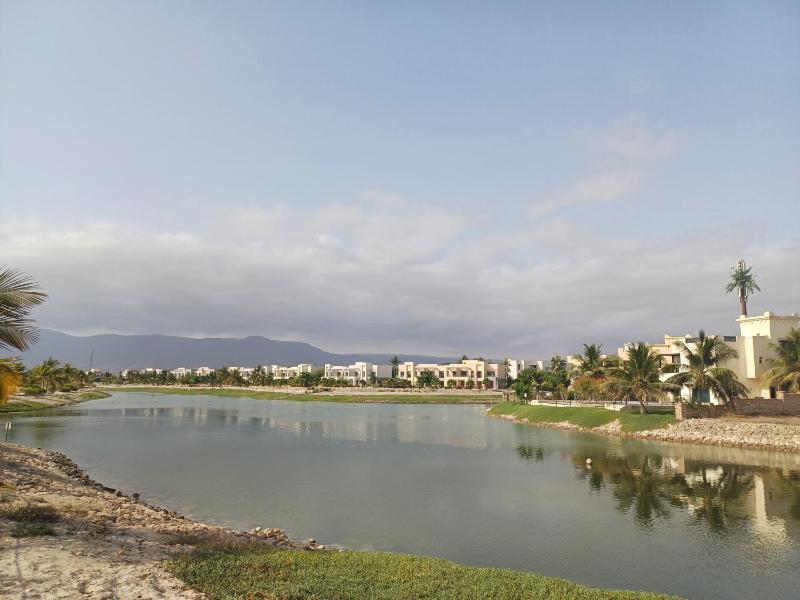 Dream Apartment - Near Beach with Pool View & WiFi - image 21