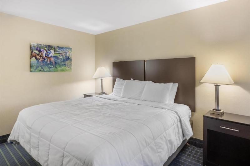 King Room image 1