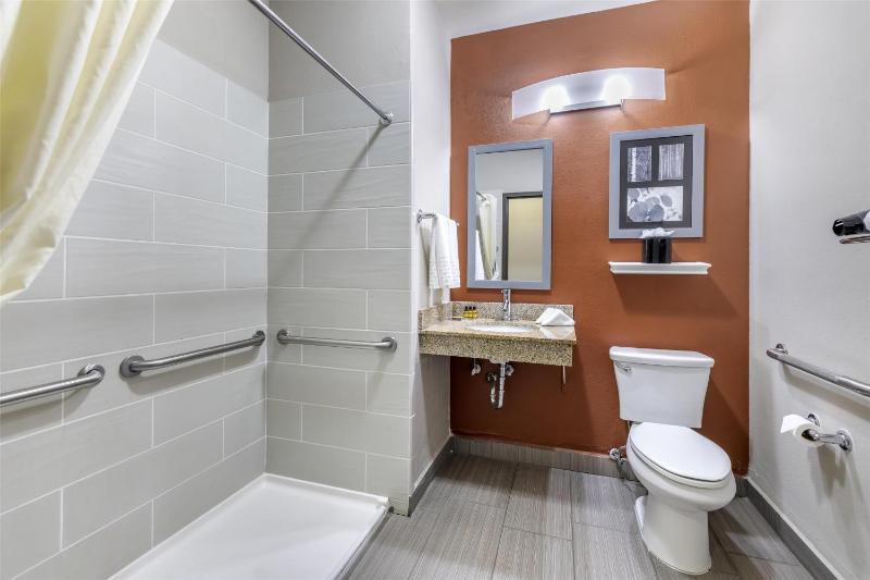 King Room with Roll-In Shower - Disability Access image 2