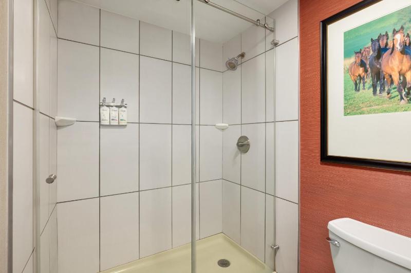 Premium King Room image 2