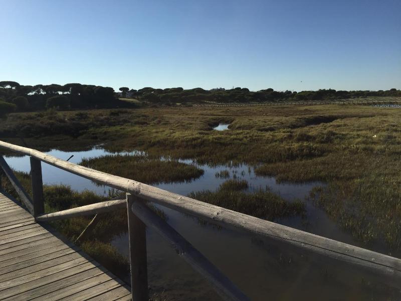 Standard Two-Bedroom Apartment image 4