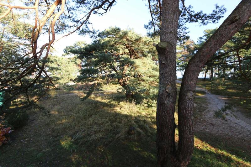 Strandhaus Dünenweg 17c mit Terrasse und Kamin - image 2