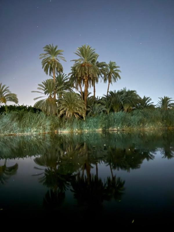 Luxor Old Nile Hotel - image 2